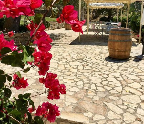 26804380_1779441069018528_2467343018138608412_n (2)